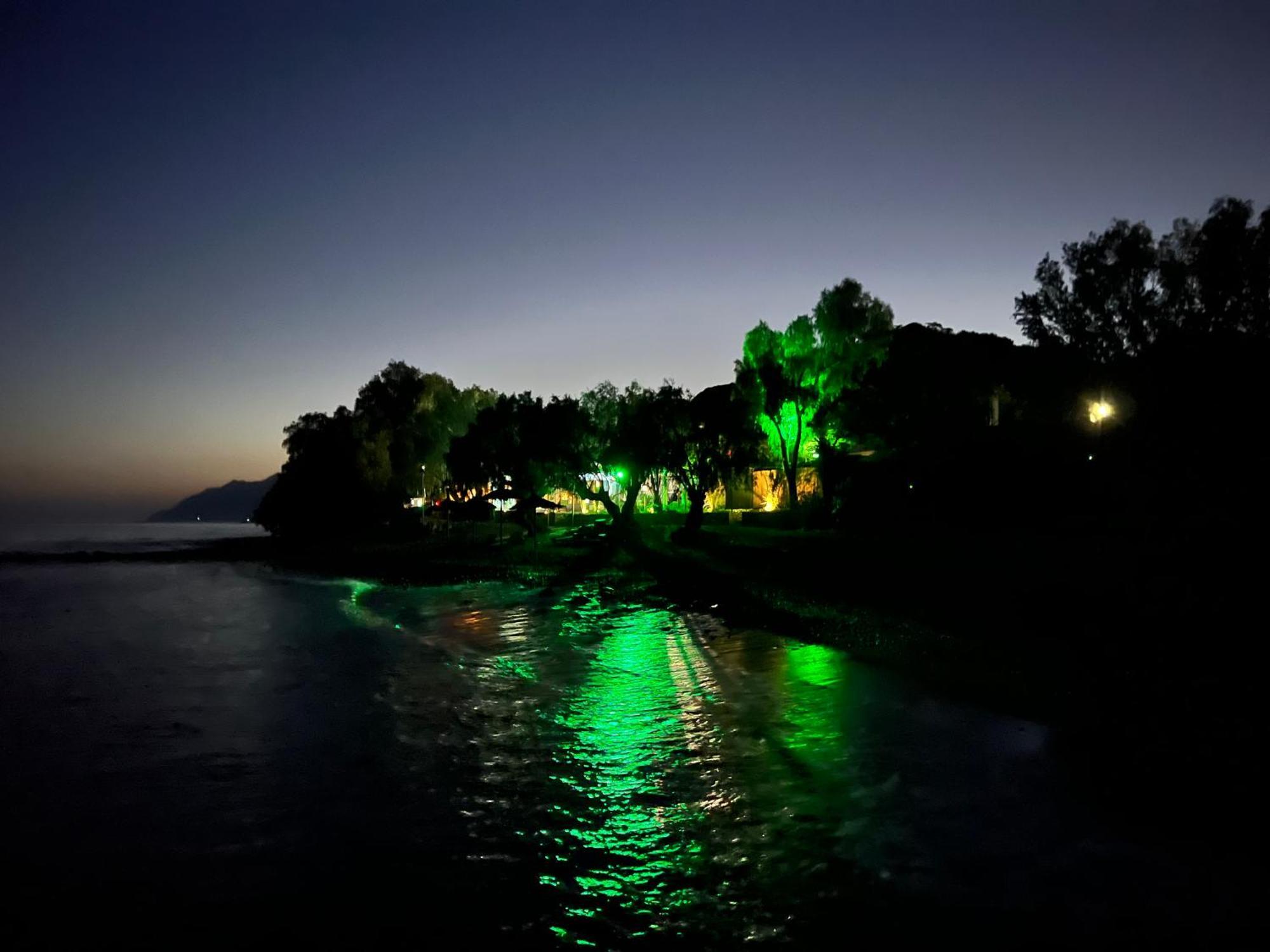 Nikkon Luxury Living Villa Arvi  Екстериор снимка